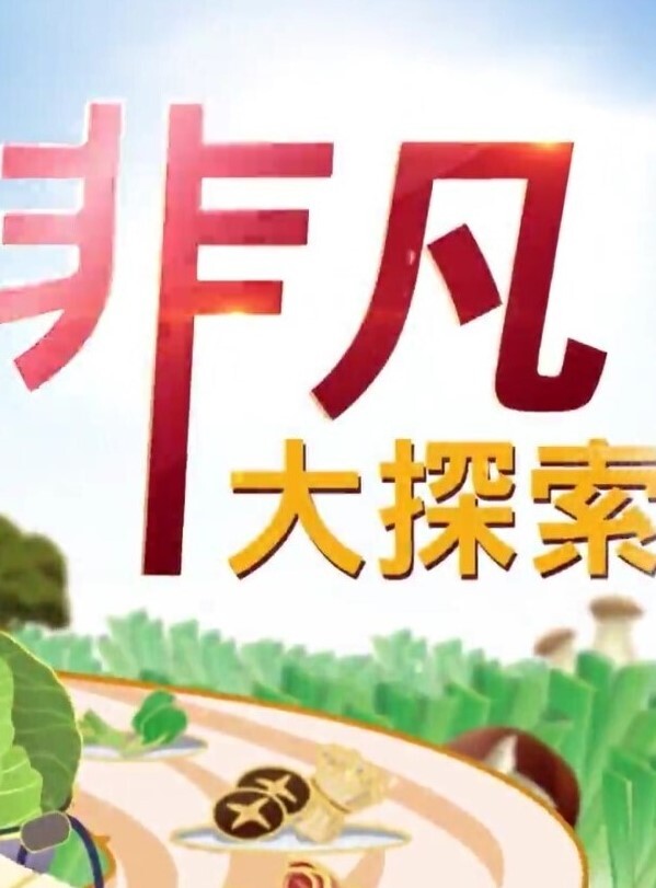 真实约啪高颜值美女做爱完美露脸高颜值女神臣服于胯下爽炸 - 淑女骚视频